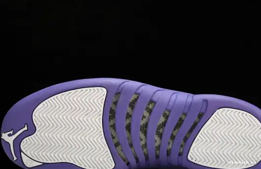 CT8013-150 12 CT8013-150 Retro Jordan Purple 0519
